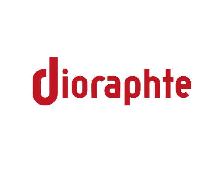 Logo Stichting Dioraphte